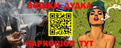 шишки Кандалакша
