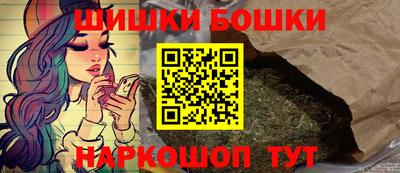 шишки Кандалакша