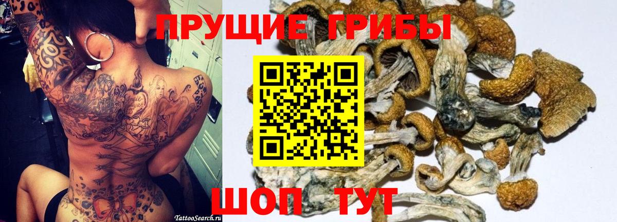Юрга  Псилоцибиновые грибы ЛСД  Псилоцибиновые грибы прущие грибы  Вход с VPN 