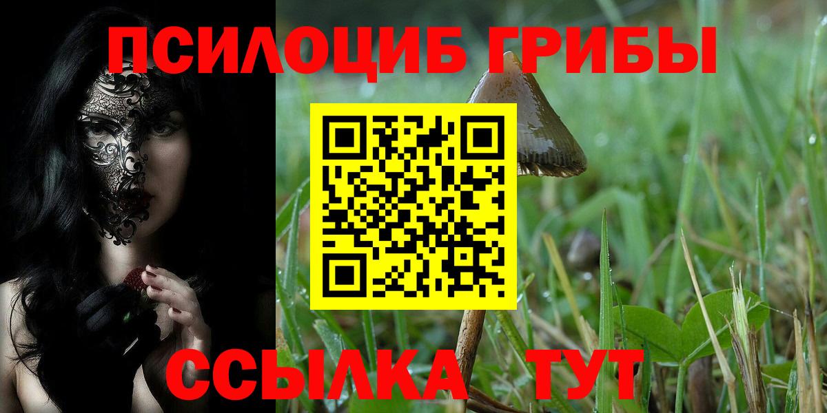 Псилоцибиновые грибы Psilocybe Юрга