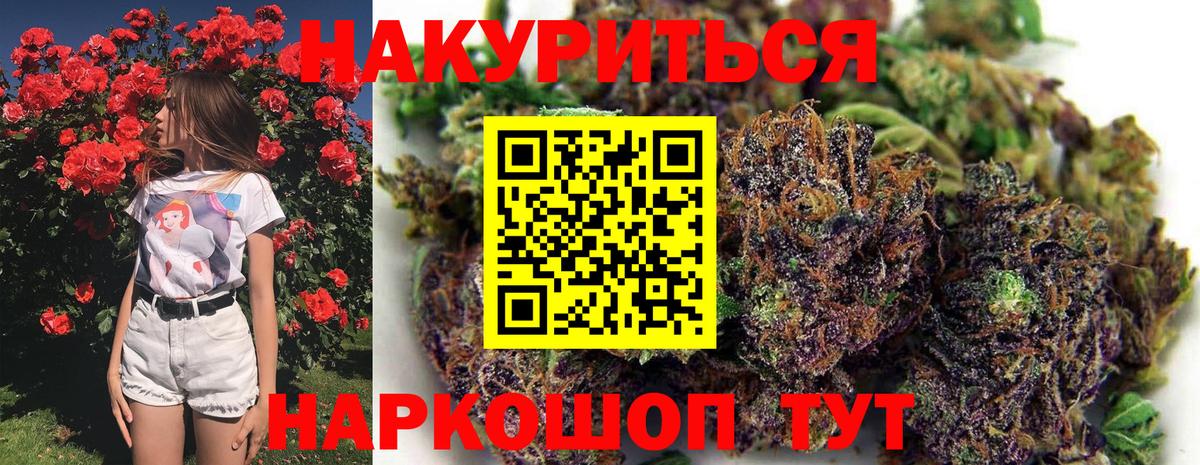 Конопля OG Kush  Вход с VPN  Каннабис ГИДРОПОН  Юрга  Конопля VHQ 
